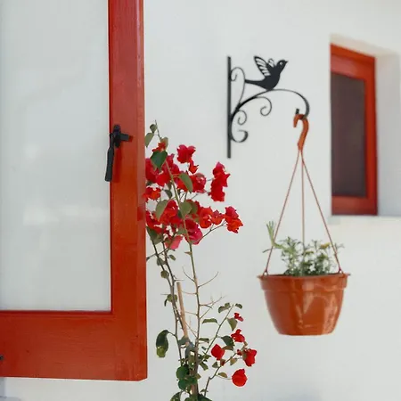 Apartman Traditional Village In Near By Cyprus Horizons *